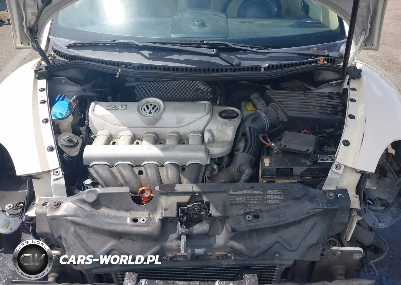 2010 Volkswagen New Beetle 2.5L VIN:3VWRW3AL2AM010153 - 10