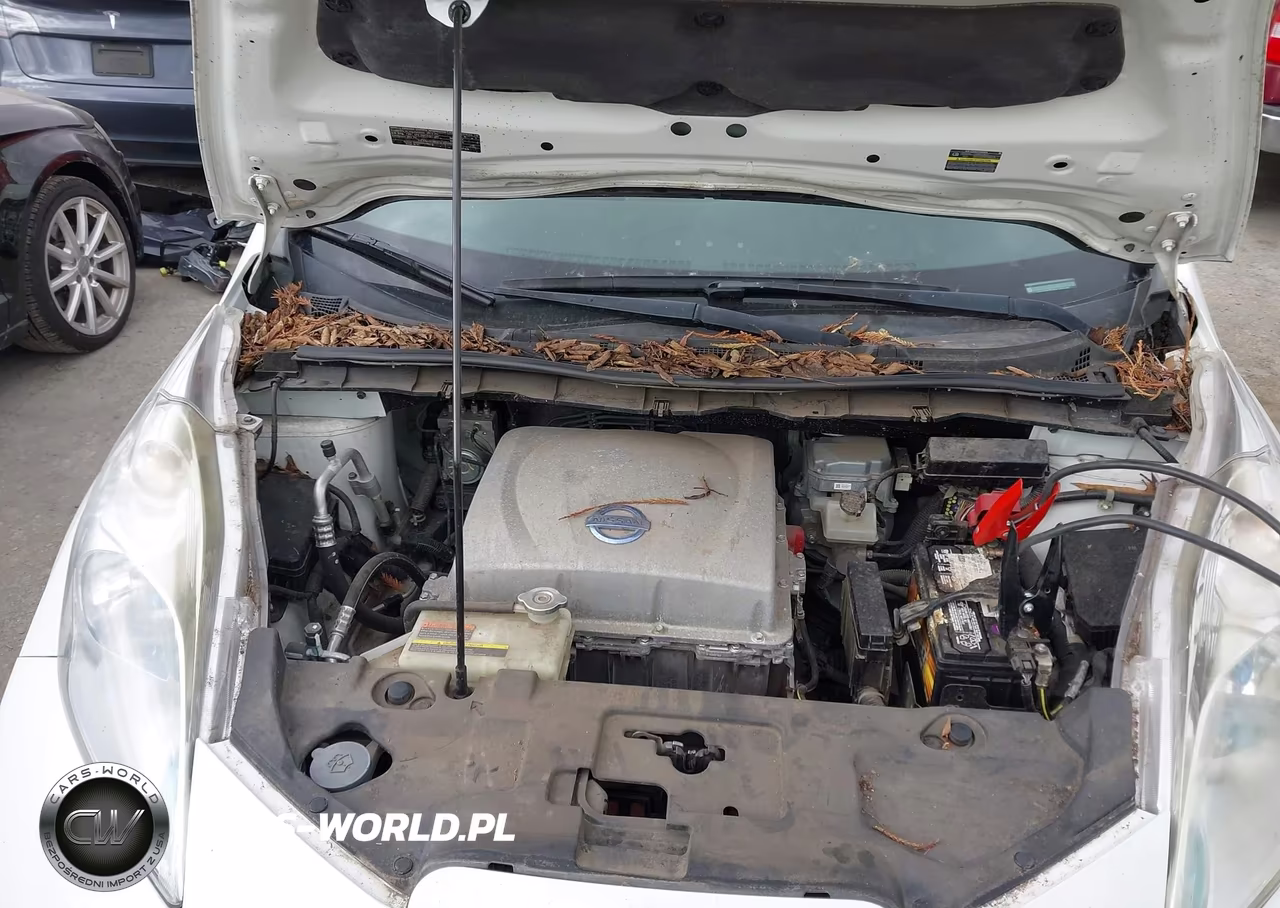2013 Nissan Leaf S VIN:1N4AZ0CPXDC402105 - 10