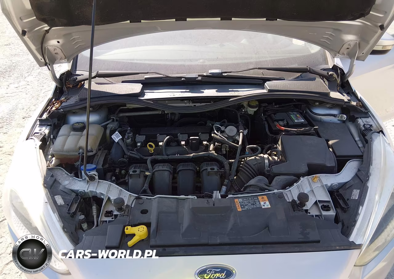 2016 Ford Focus Se VIN:1FADP3K25GL387107 - 10