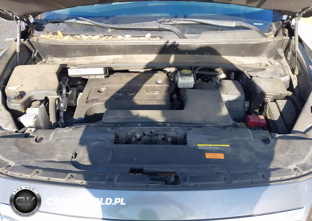 2016 Infiniti Qx60 VIN:5N1AL0MM7GC517759 - 10