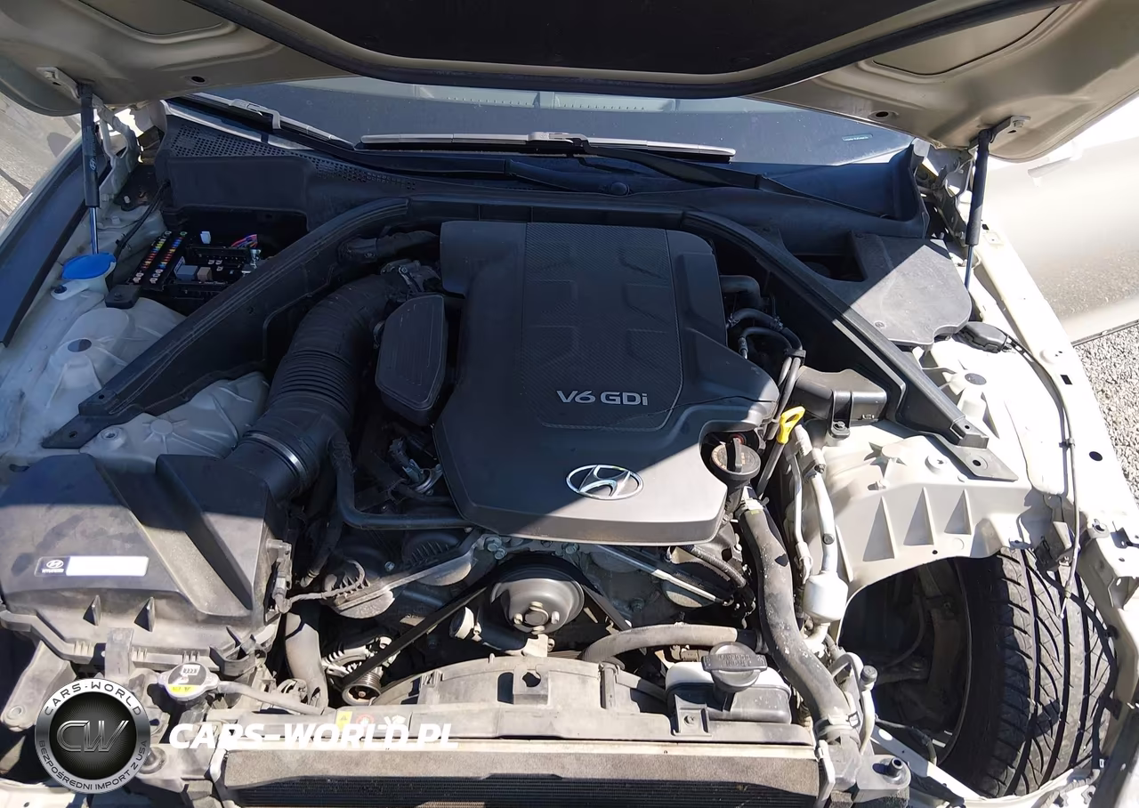 2015 Hyundai Genesis 3.8 VIN:KMHGN4JE4FU089151 - 10