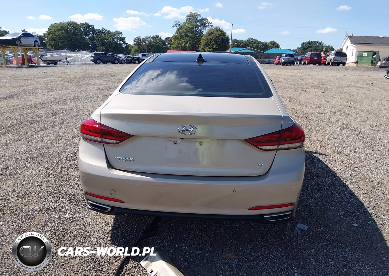 2015 Hyundai Genesis 3.8 VIN:KMHGN4JE4FU089151 - 17