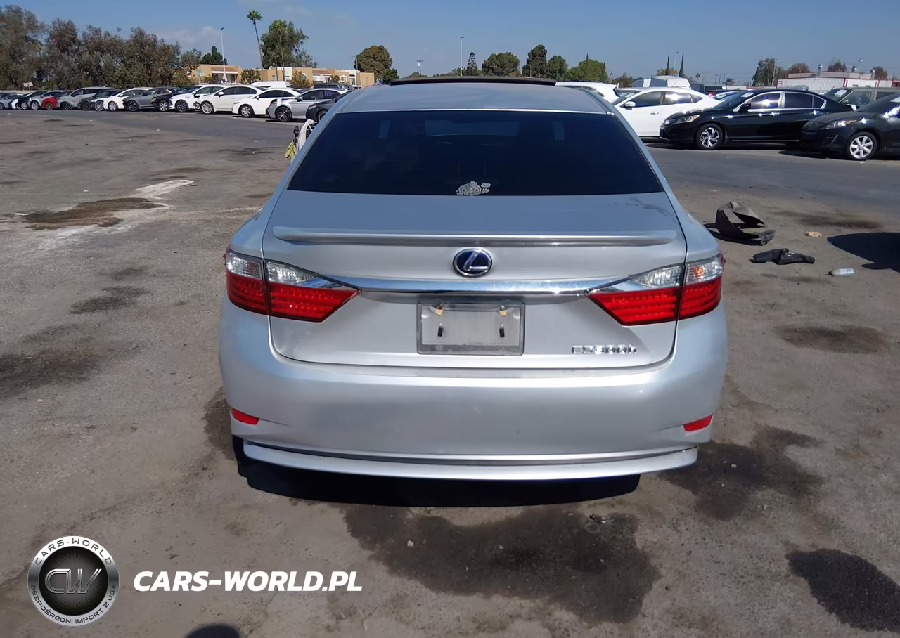 2013 Lexus Es 300H VIN:JTHBW1GG9D2009336 - 17