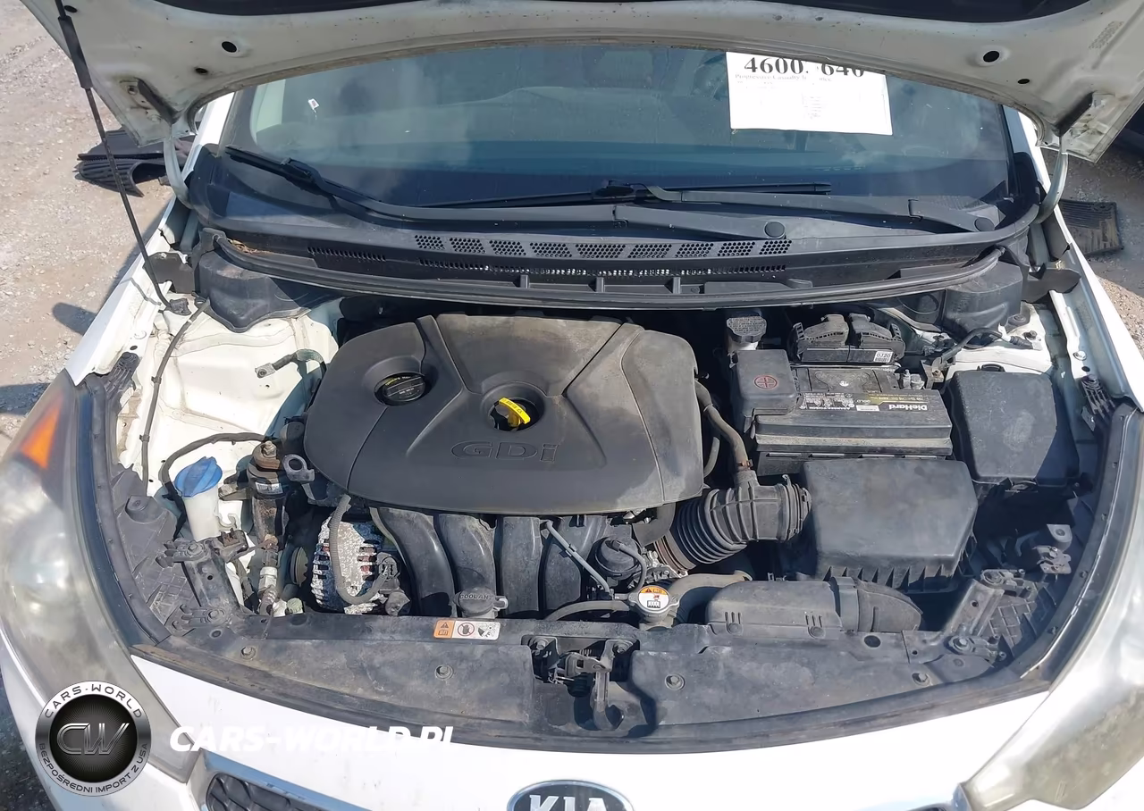 2015 Kia Forte Ex VIN:KNAFX4A86F5283952 - 10