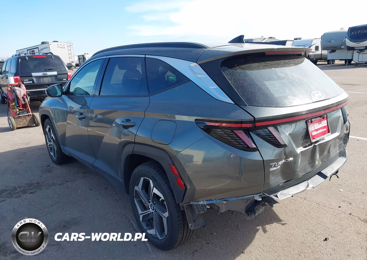 2023 Hyundai Tucson Limited VIN:5NMJECAE2PH246415 - 3