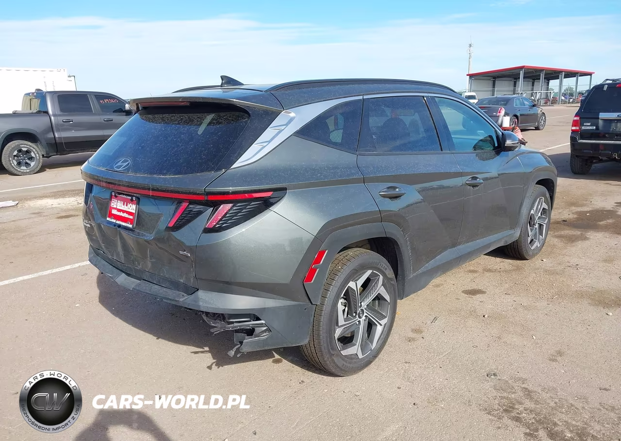 2023 Hyundai Tucson Limited VIN:5NMJECAE2PH246415 - 4