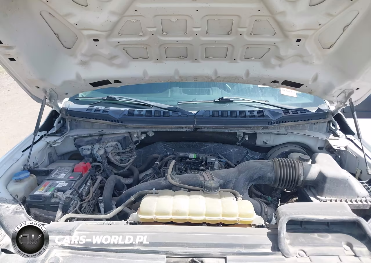 2019 Ford F-150 Xl VIN:1FTEW1CP8KKC47938 - 10