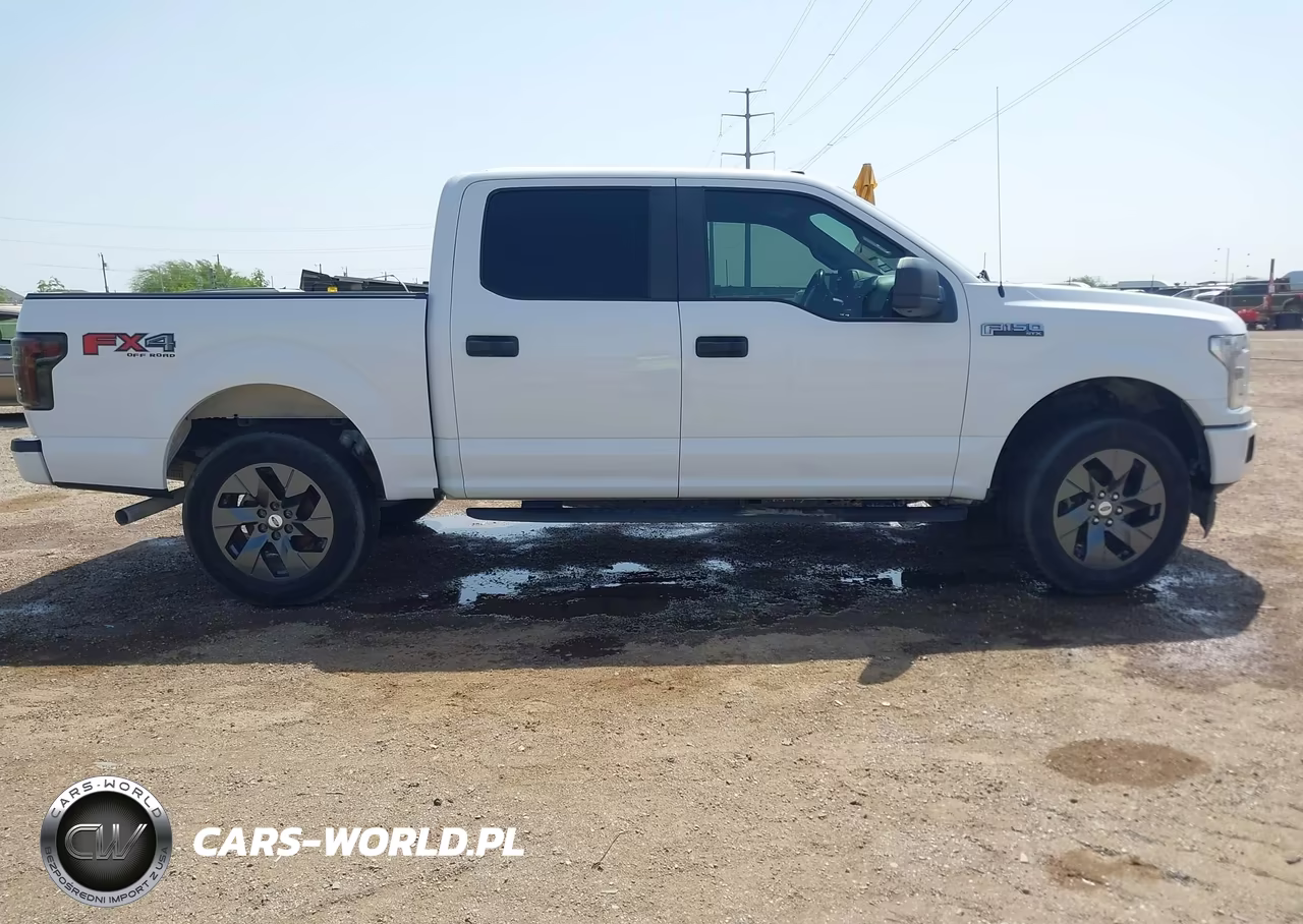 2019 Ford F-150 Xl VIN:1FTEW1CP8KKC47938 - 13