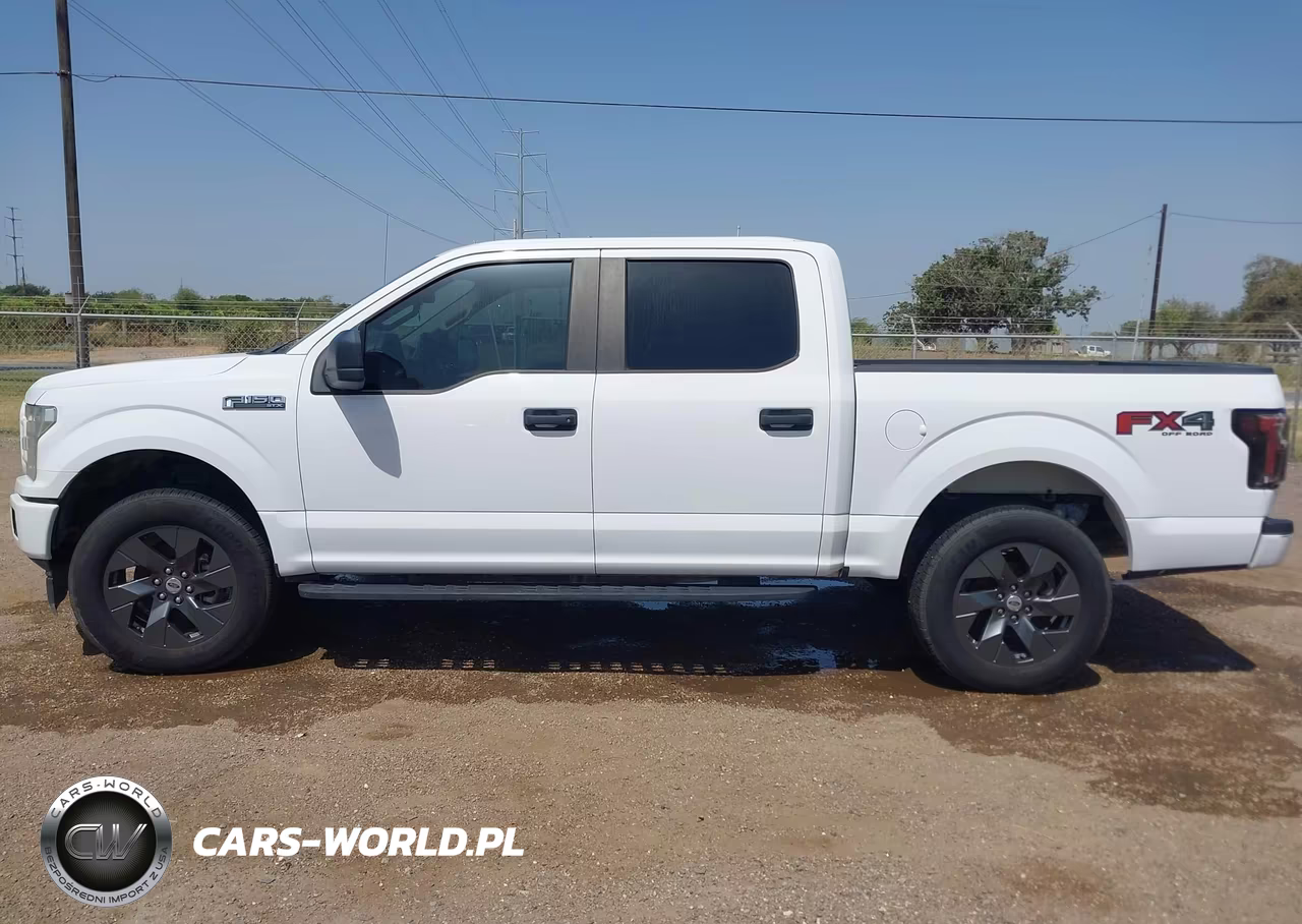 2019 Ford F-150 Xl VIN:1FTEW1CP8KKC47938 - 14
