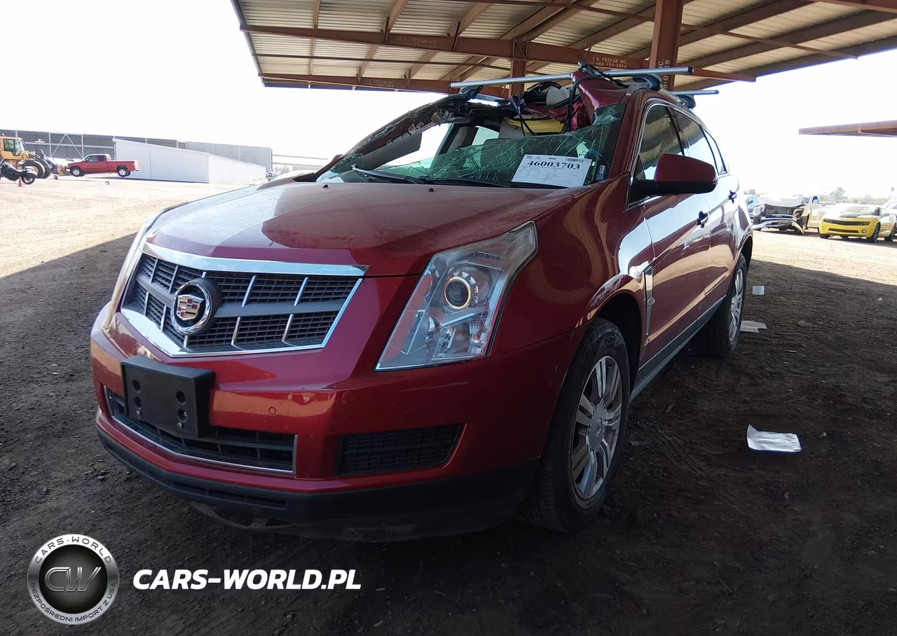 2010 Cadillac Srx Luxury Collection VIN:3GYFNAEY8AS566458 - 2