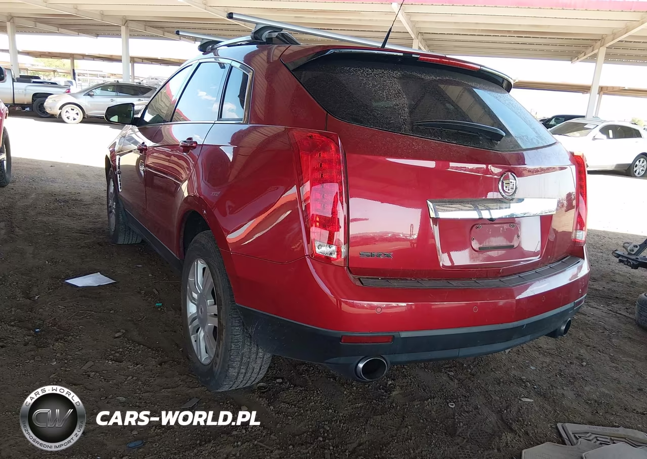2010 Cadillac Srx Luxury Collection VIN:3GYFNAEY8AS566458 - 3