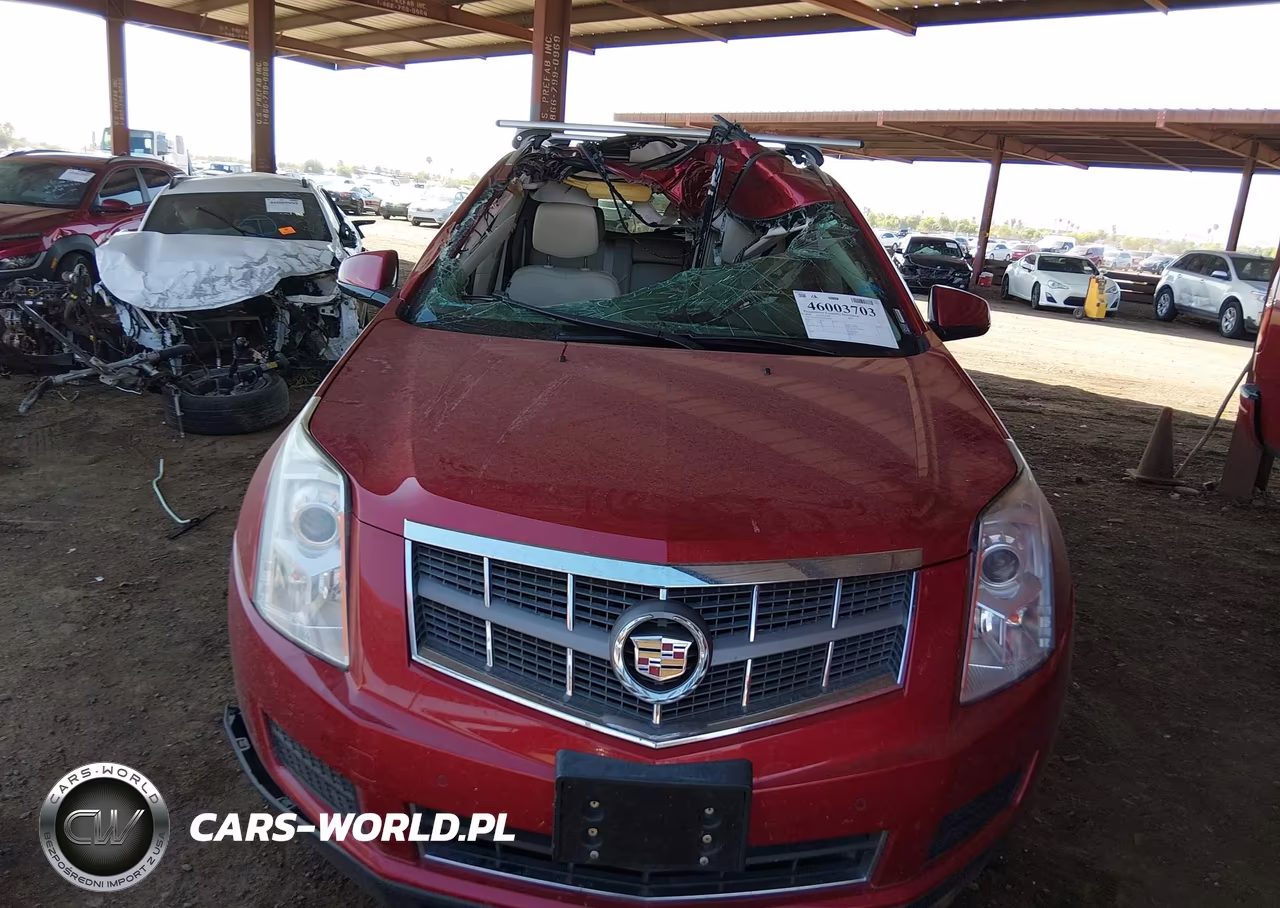 2010 Cadillac Srx Luxury Collection VIN:3GYFNAEY8AS566458 - 6