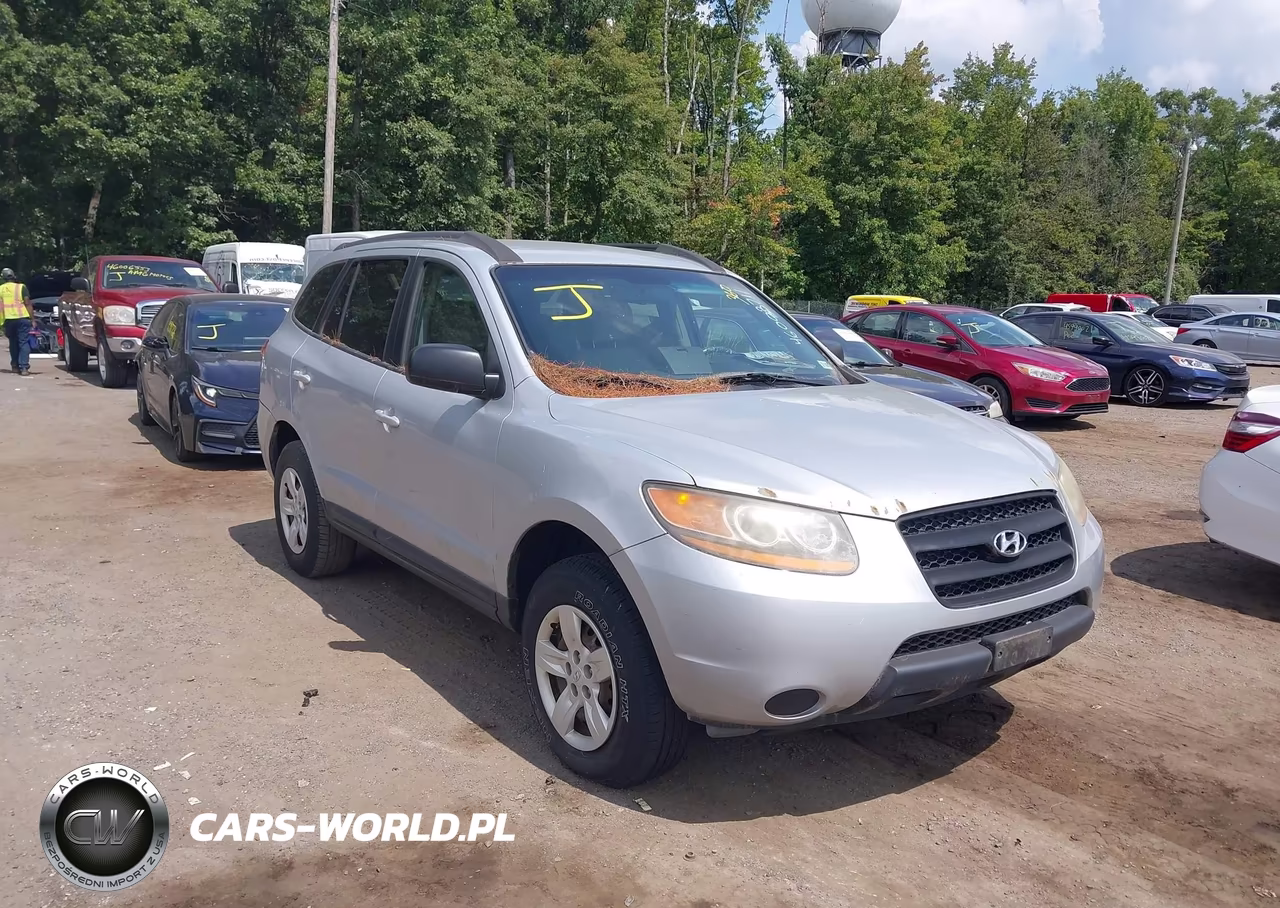 2009 Hyundai Santa Fe Gls