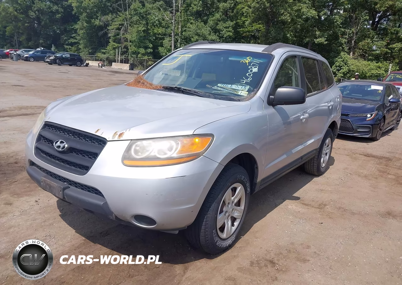 2009 Hyundai Santa Fe Gls VIN:5NMSG13D29H320765 - 2