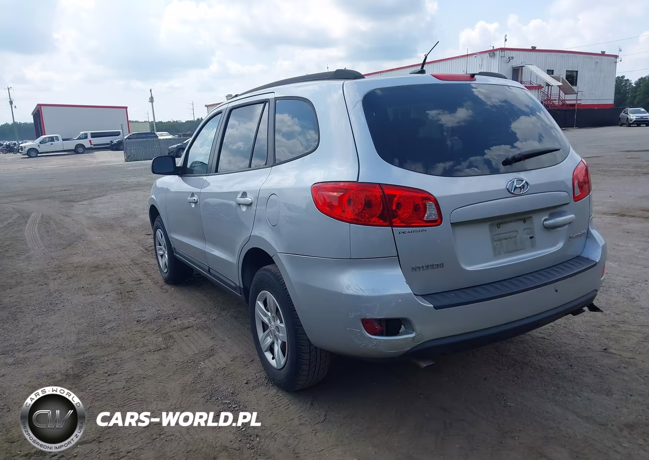 2009 Hyundai Santa Fe Gls VIN:5NMSG13D29H320765 - 3