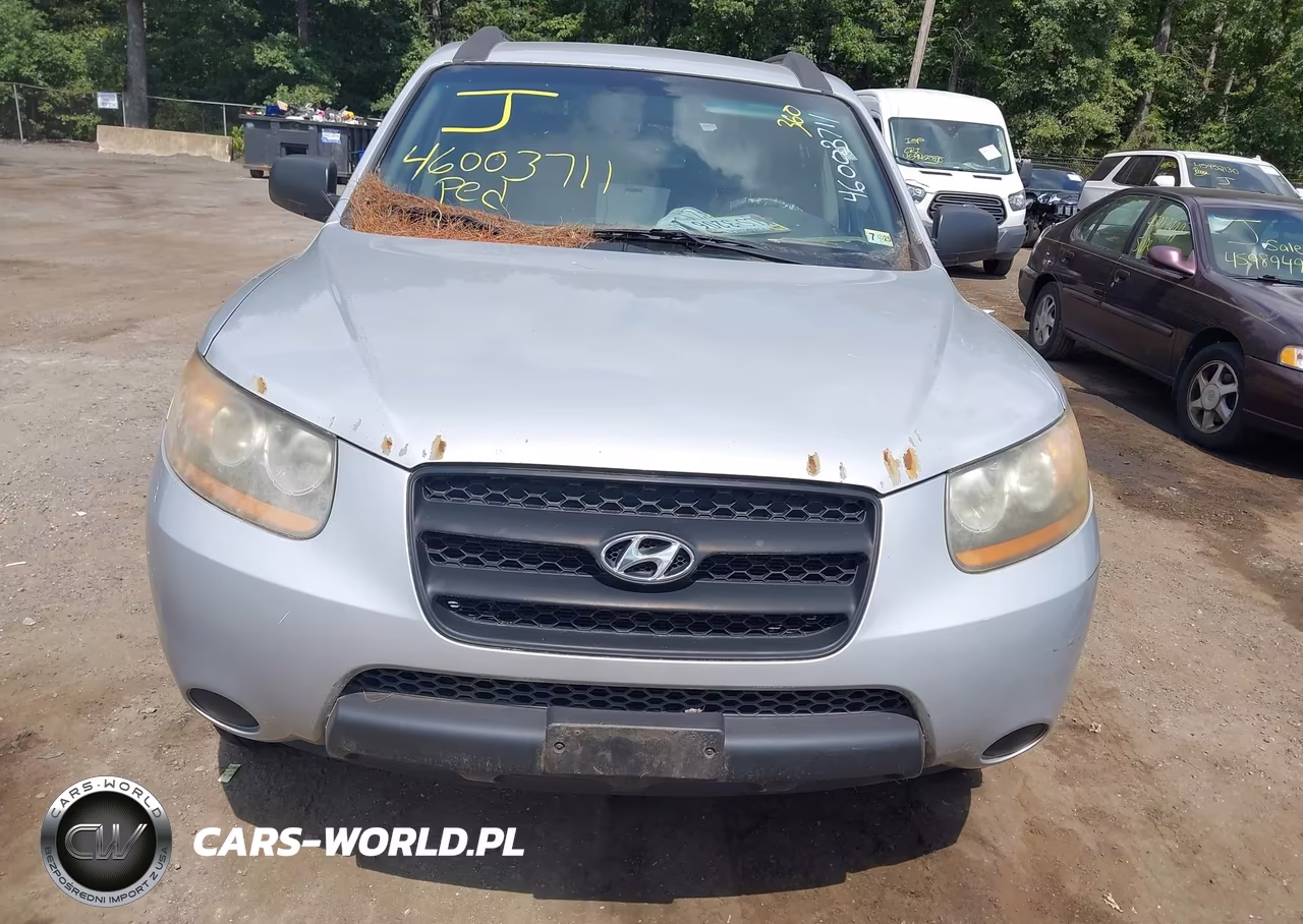 2009 Hyundai Santa Fe Gls VIN:5NMSG13D29H320765 - 6