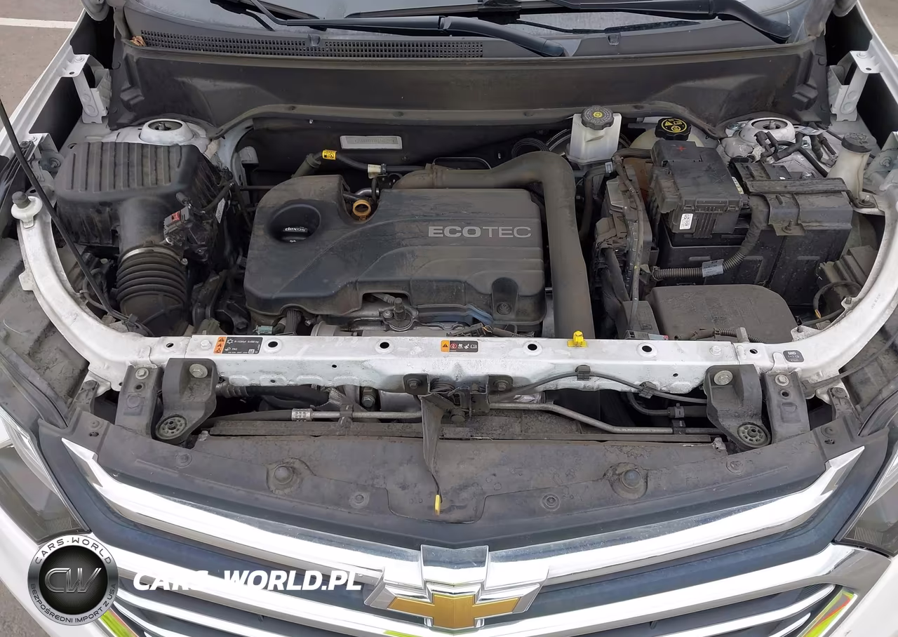 2019 Chevrolet Equinox Premier VIN:2GNAXXEVXK6196091 - 10