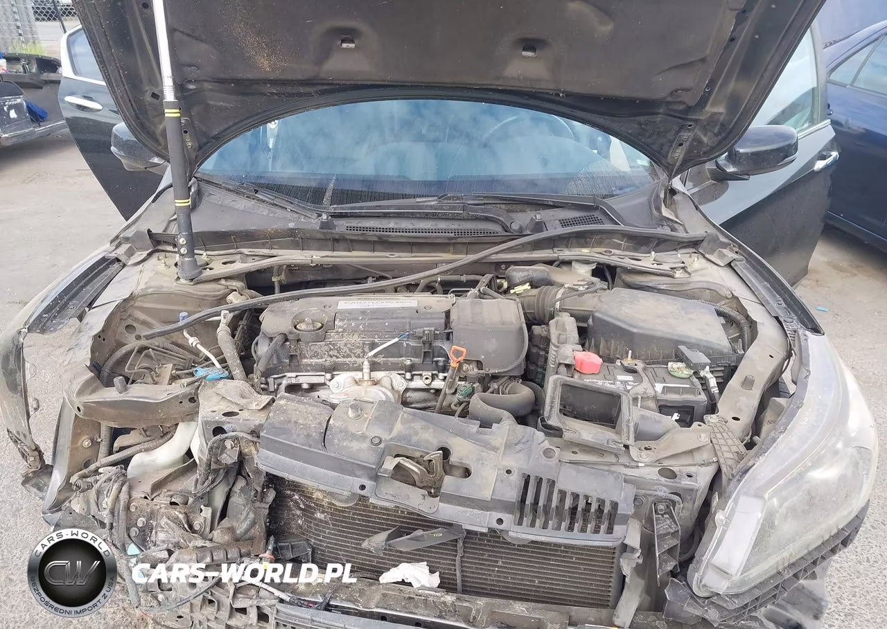 2014 Honda Accord Ex-L VIN:1HGCR2F82EA244747 - 10