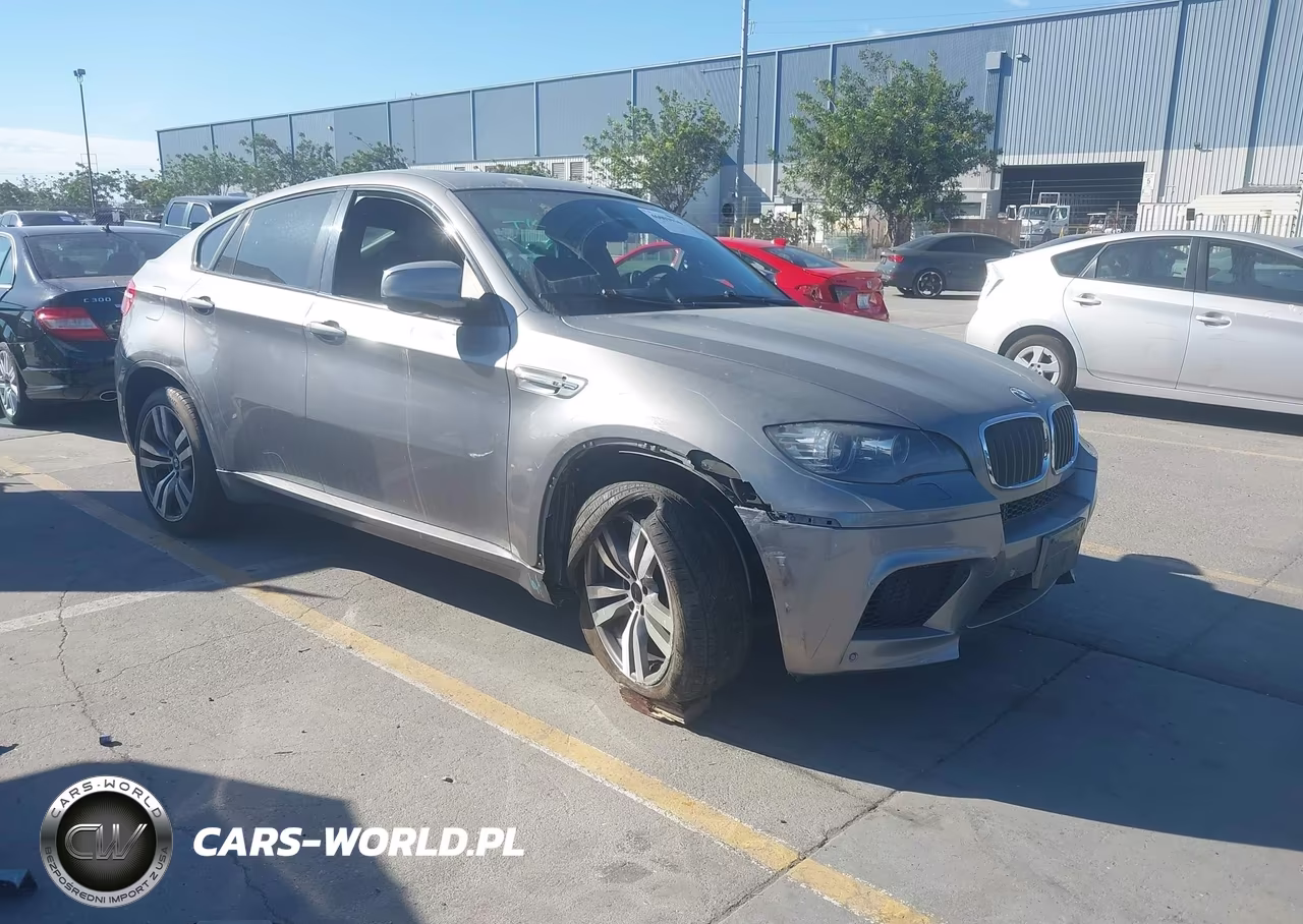2011 BMW X6 M VIN:5YMGZ0C58BLK14304 - 1
