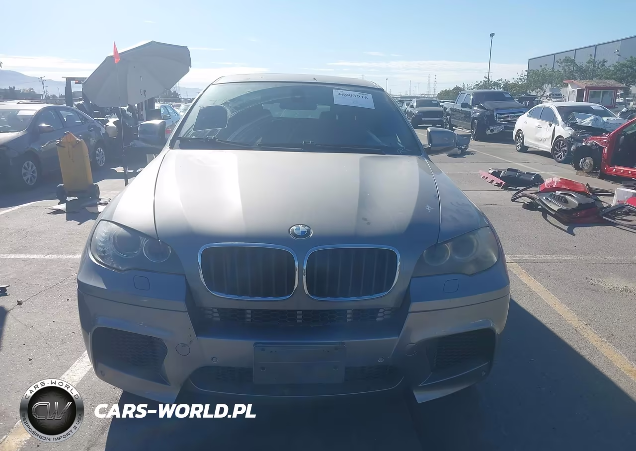 2011 BMW X6 M VIN:5YMGZ0C58BLK14304 - 13