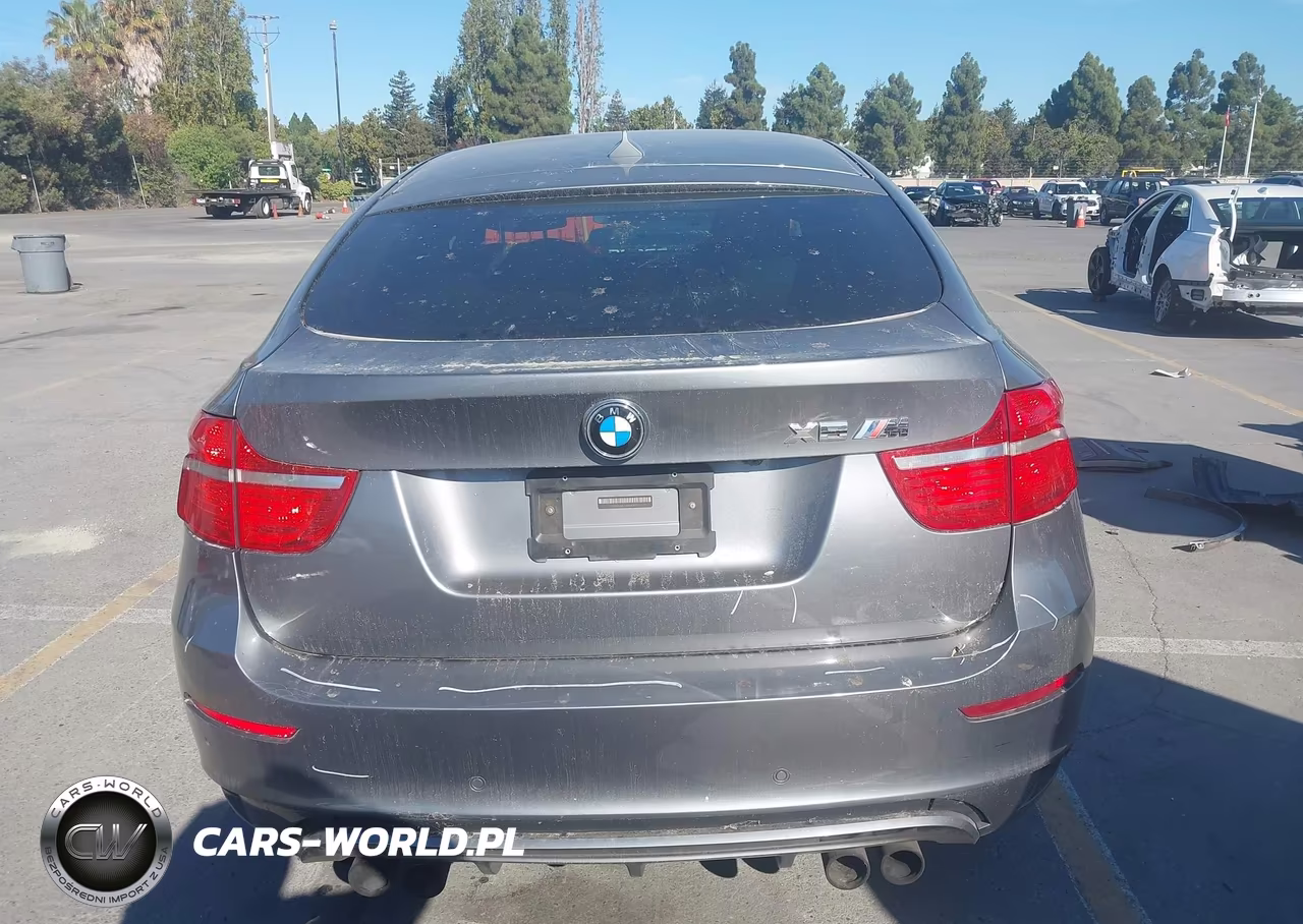 2011 BMW X6 M VIN:5YMGZ0C58BLK14304 - 17