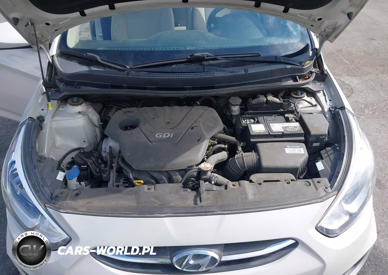 2016 Hyundai Accent Se VIN:KMHCT4AE8GU963541 - 10