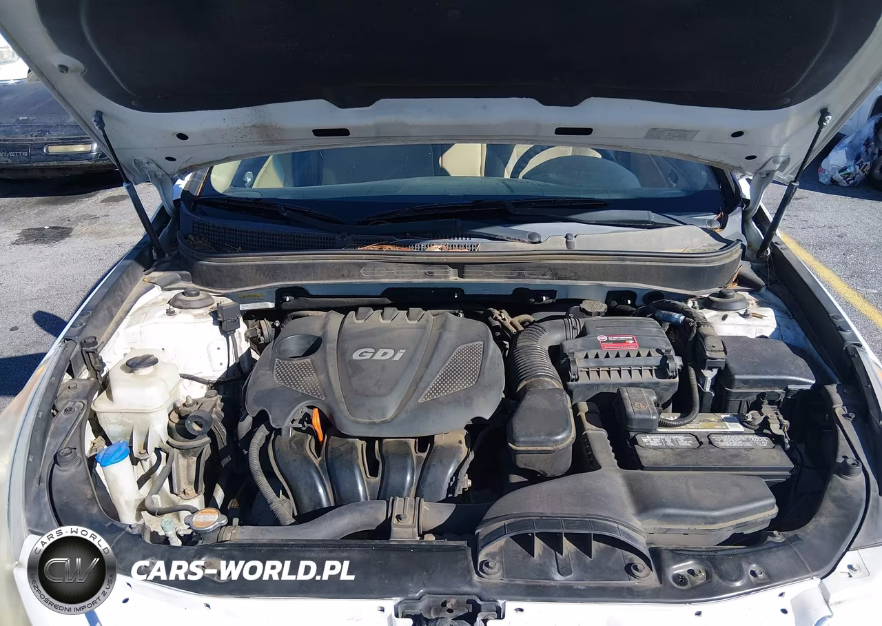 2011 Hyundai Sonata Gls VIN:5NPEB4AC9BH208335 - 10