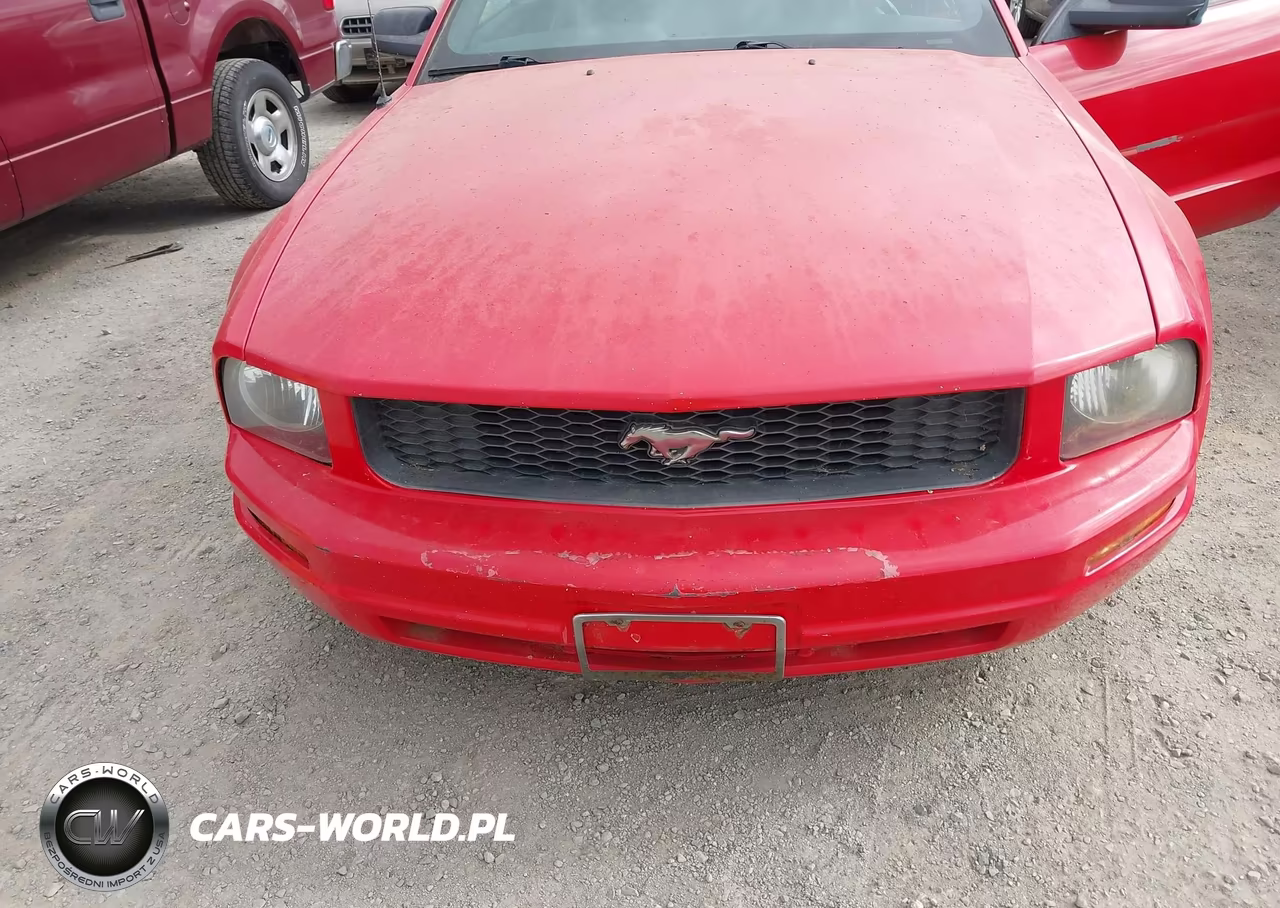 2007 Ford Mustang V6 Deluxe-V6 Premium VIN:1ZVFT84N575276593 - 6