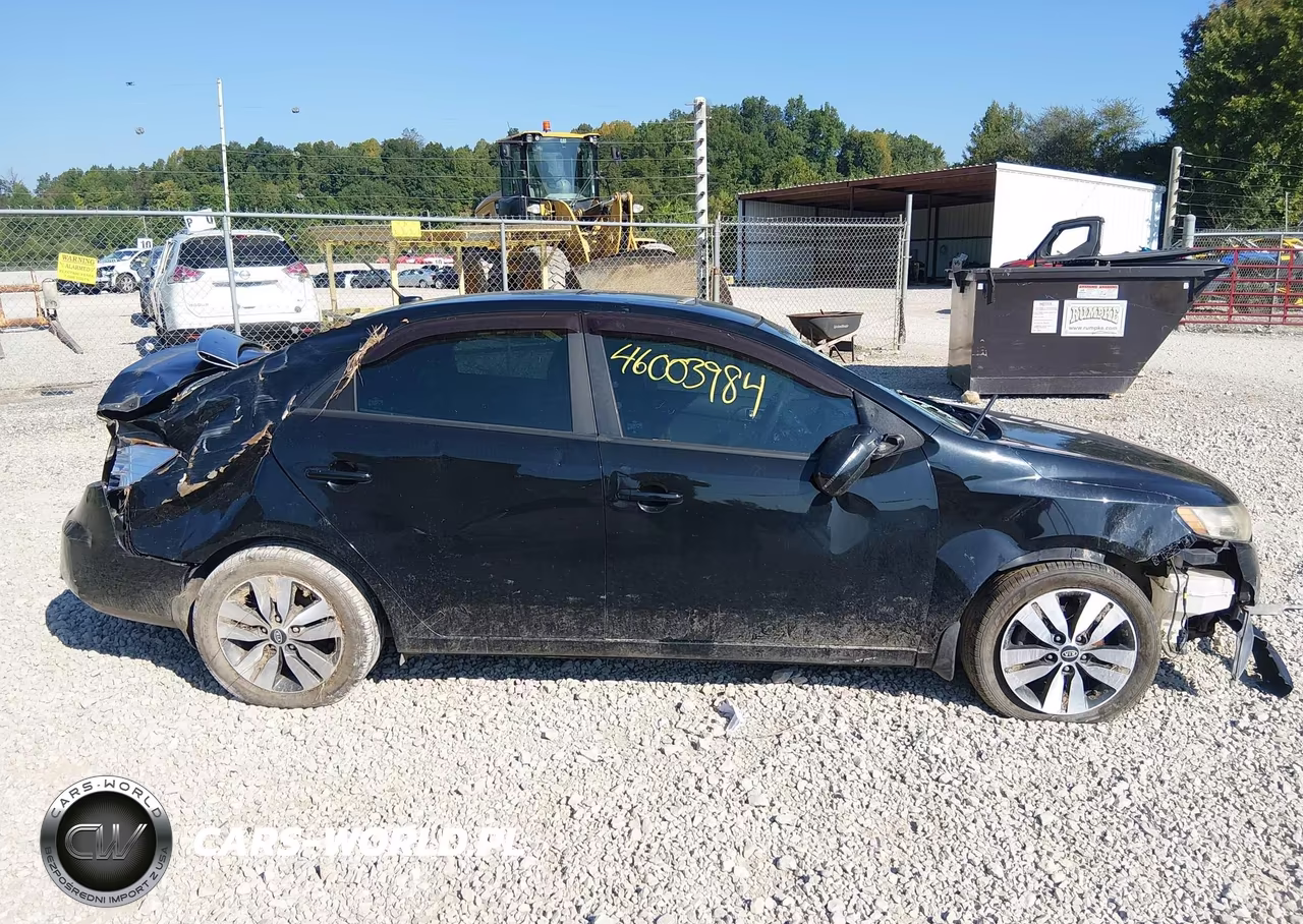 2013 Kia Forte Ex VIN:KNAFU4A28D5689779 - 13