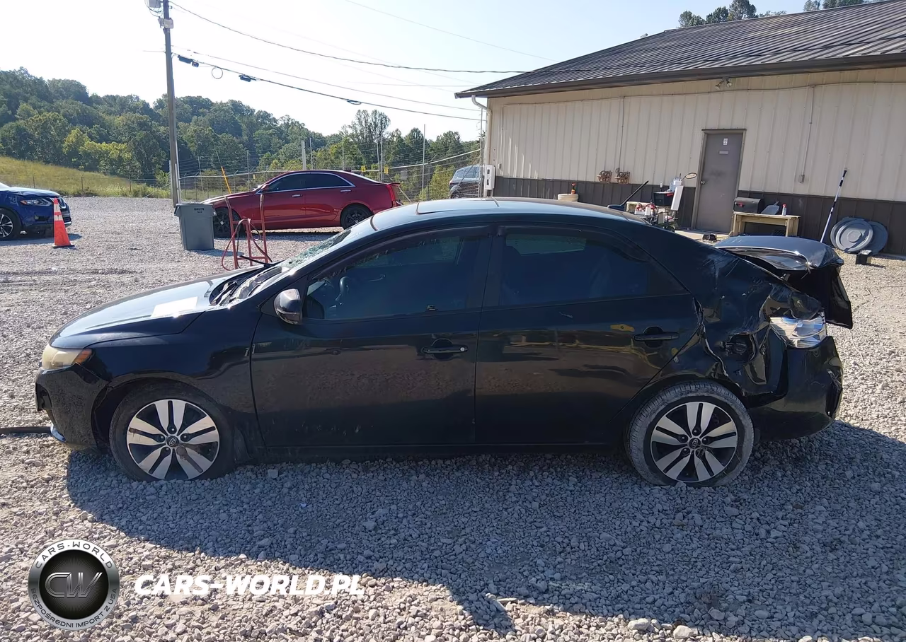 2013 Kia Forte Ex VIN:KNAFU4A28D5689779 - 14