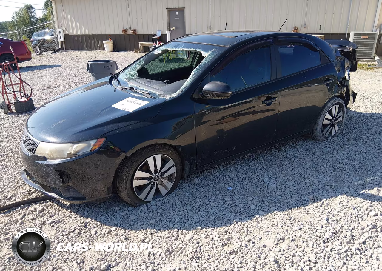 2013 Kia Forte Ex VIN:KNAFU4A28D5689779 - 2