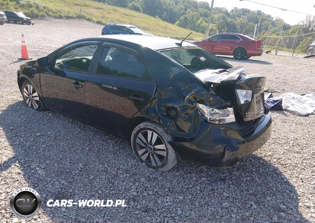 2013 Kia Forte Ex VIN:KNAFU4A28D5689779 - 3