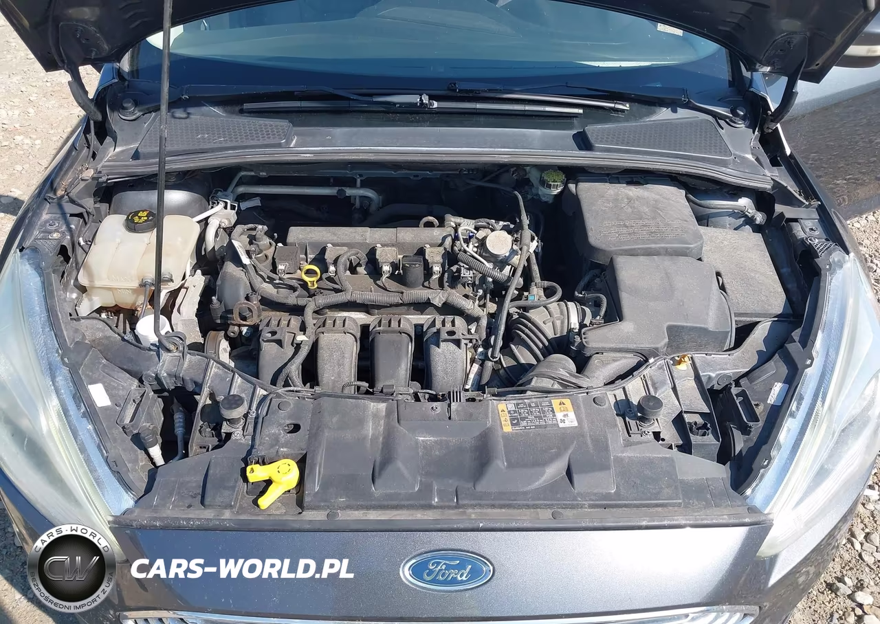 2016 Ford Focus Titanium VIN:1FADP3J25GL347529 - 10