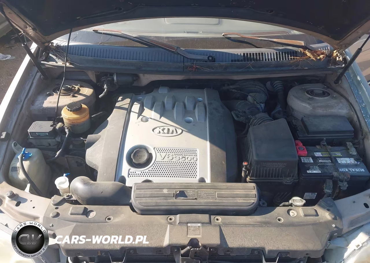 2004 Kia Sedona Ex-Lx VIN:KNDUP131746578350 - 10