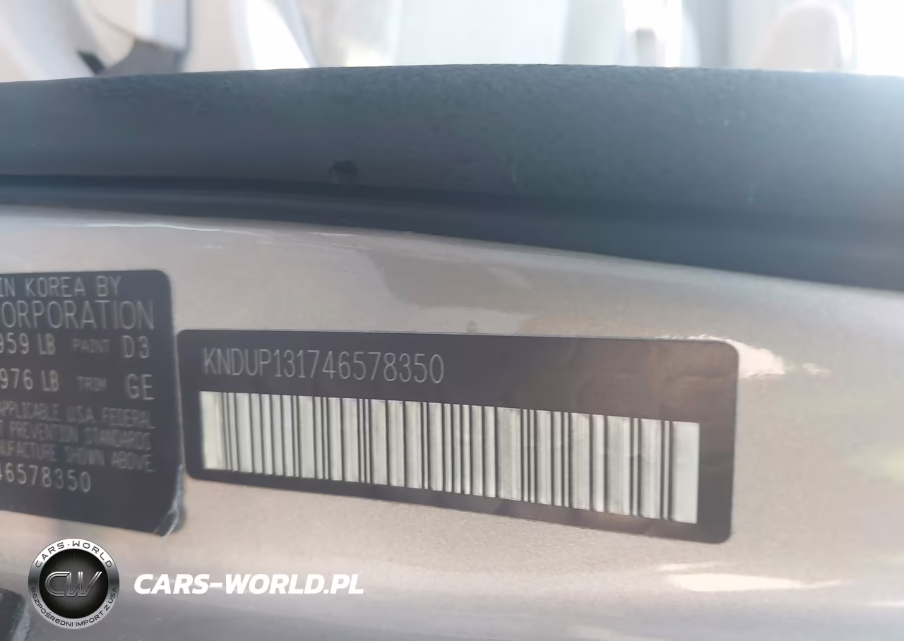 2004 Kia Sedona Ex-Lx VIN:KNDUP131746578350 - 9