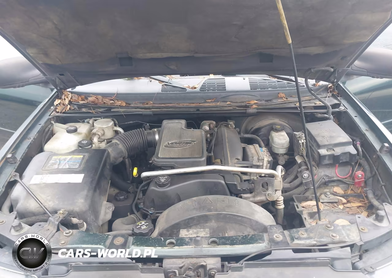 2004 Chevrolet Trailblazer Ext Lt VIN:1GNES16S846234718 - 10