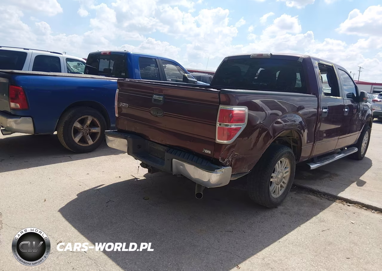 2010 Ford F-150 Fx2 Sport-Harley-Davidson-King Ranch-Lariat-Platinum-Xl-Xlt VIN:1FTFW1CV9AFB73780 - 6