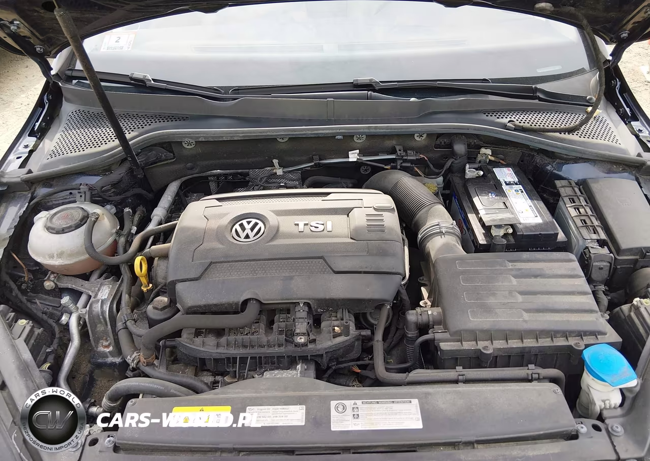 2019 Volkswagen Golf Alltrack Tsi S-Tsi Se-Tsi Sel VIN:3VWH17AU7KM511809 - 10