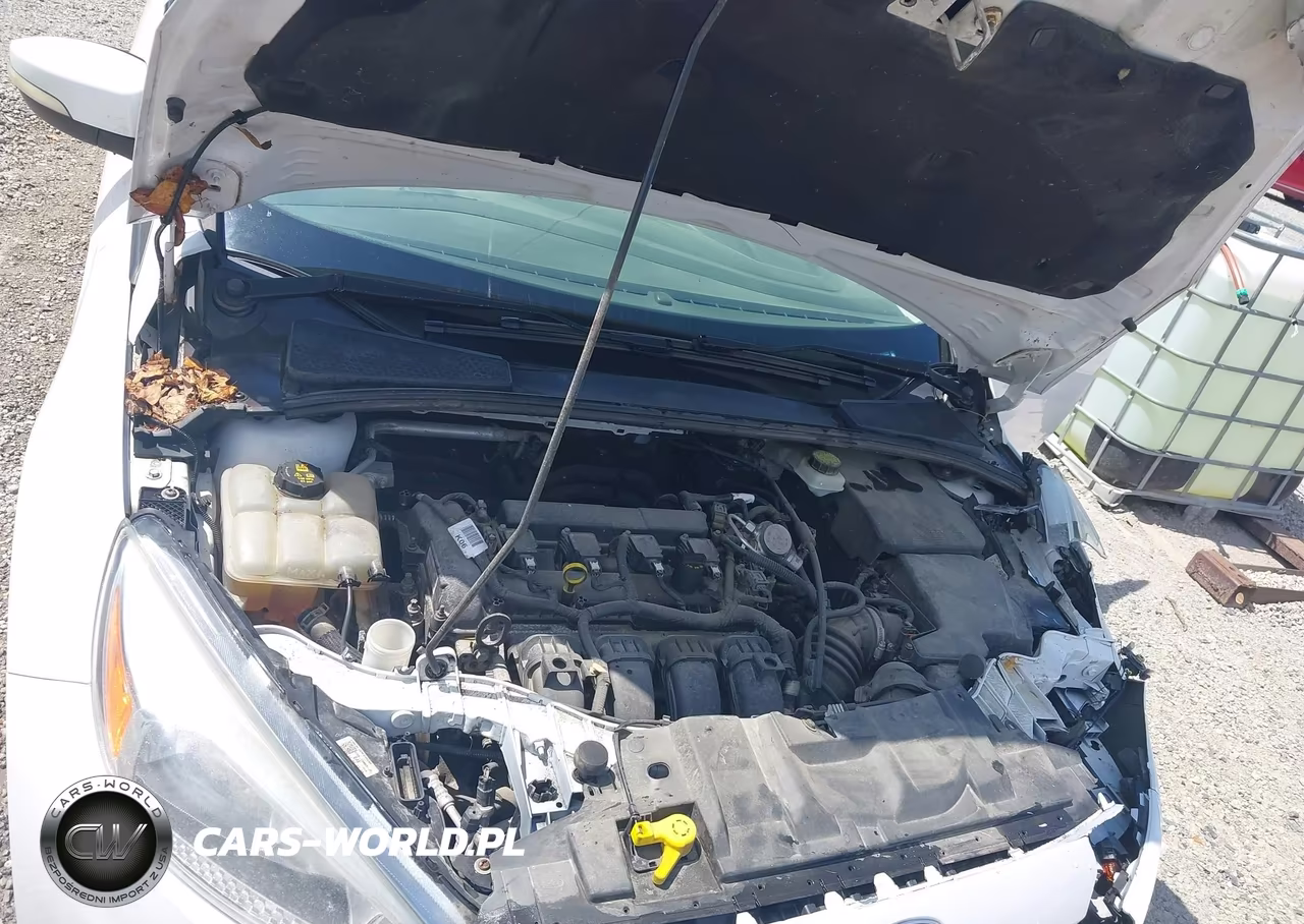 2017 Ford Focus Se VIN:1FADP3F24HL300020 - 10