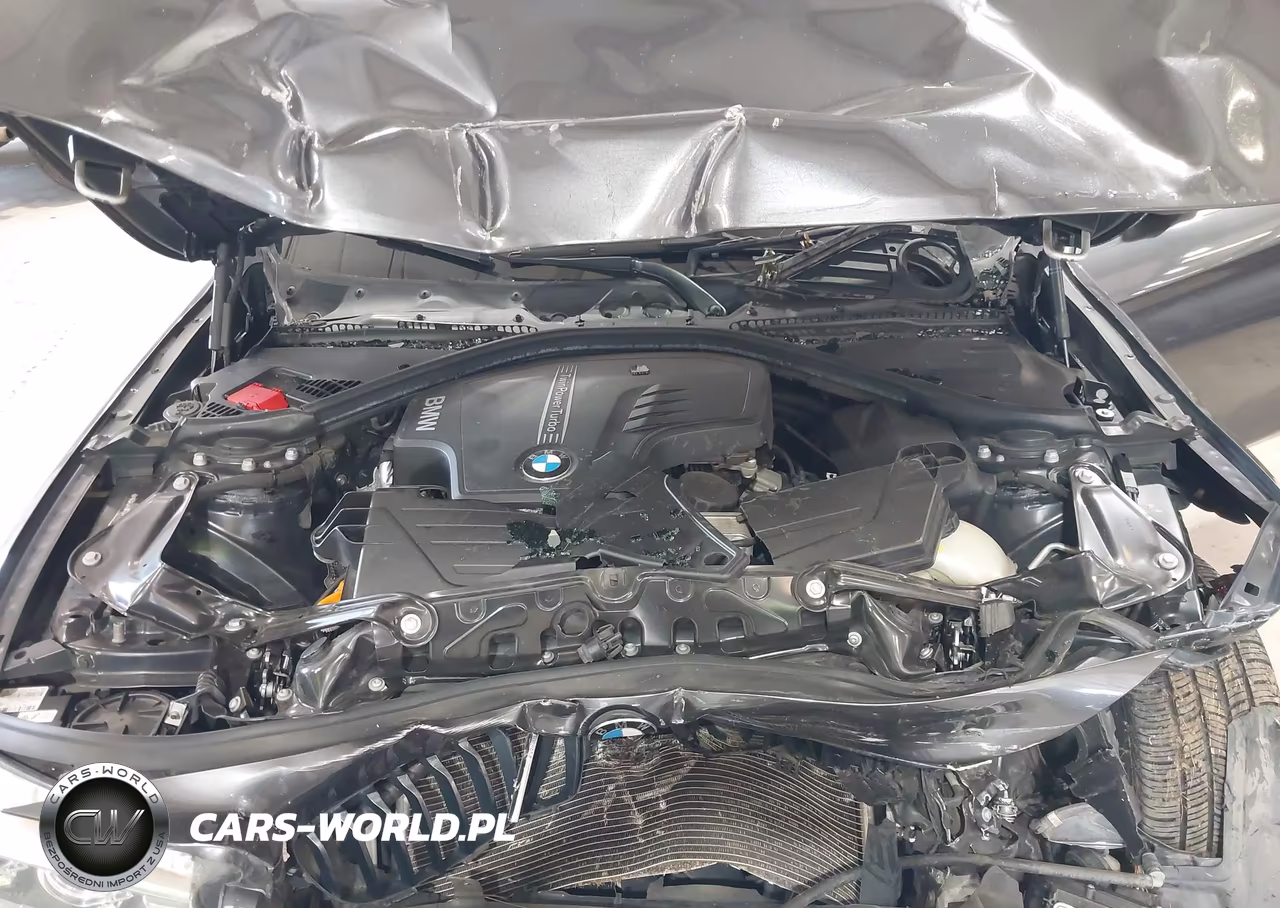 2015 BMW 428I xDrive VIN:WBA3V9C51FP946664 - 10