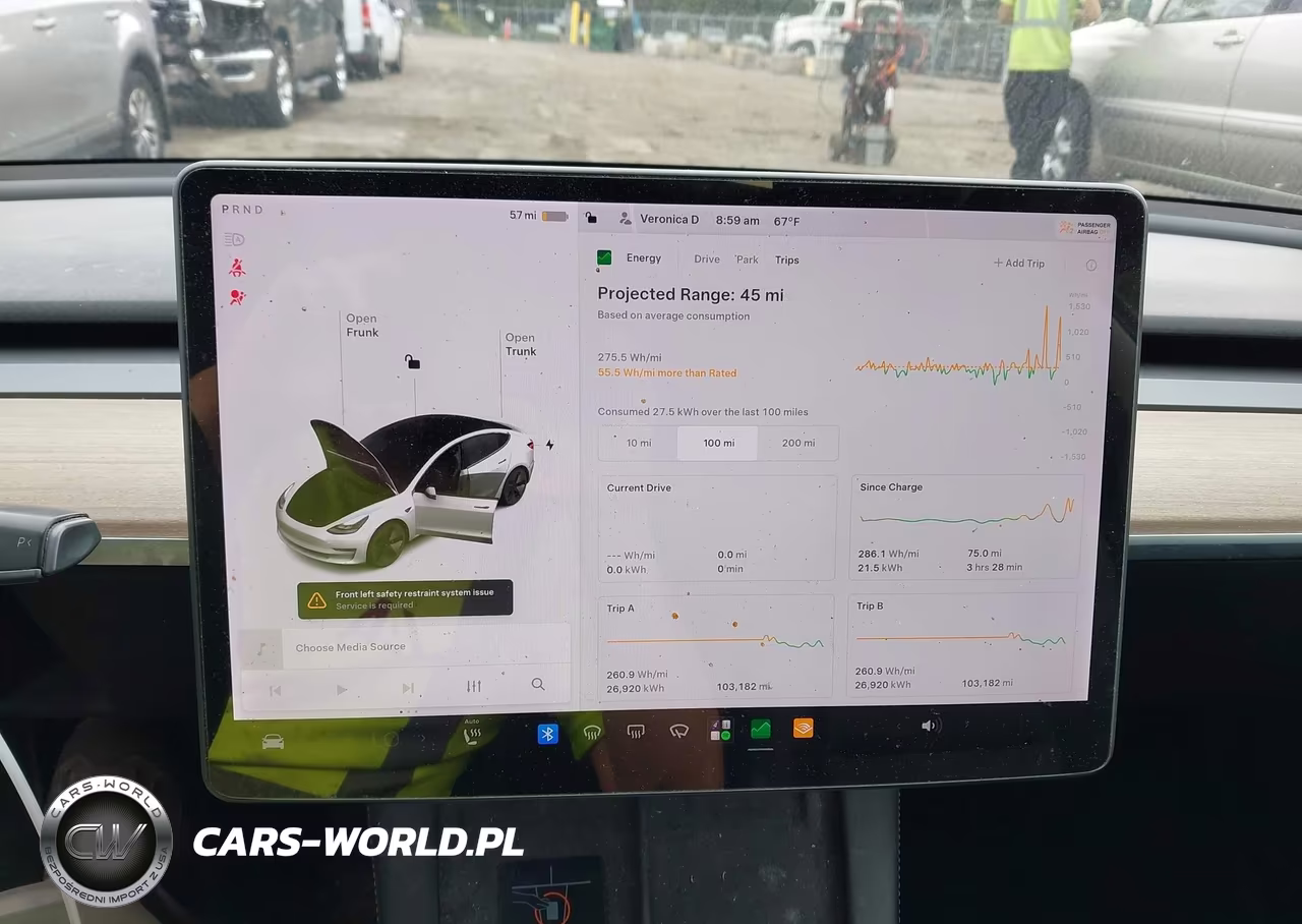 2022 Tesla Model 3 Long Range Dual Motor All-Wheel Drive VIN:5YJ3E1EB4NF105163 - 19