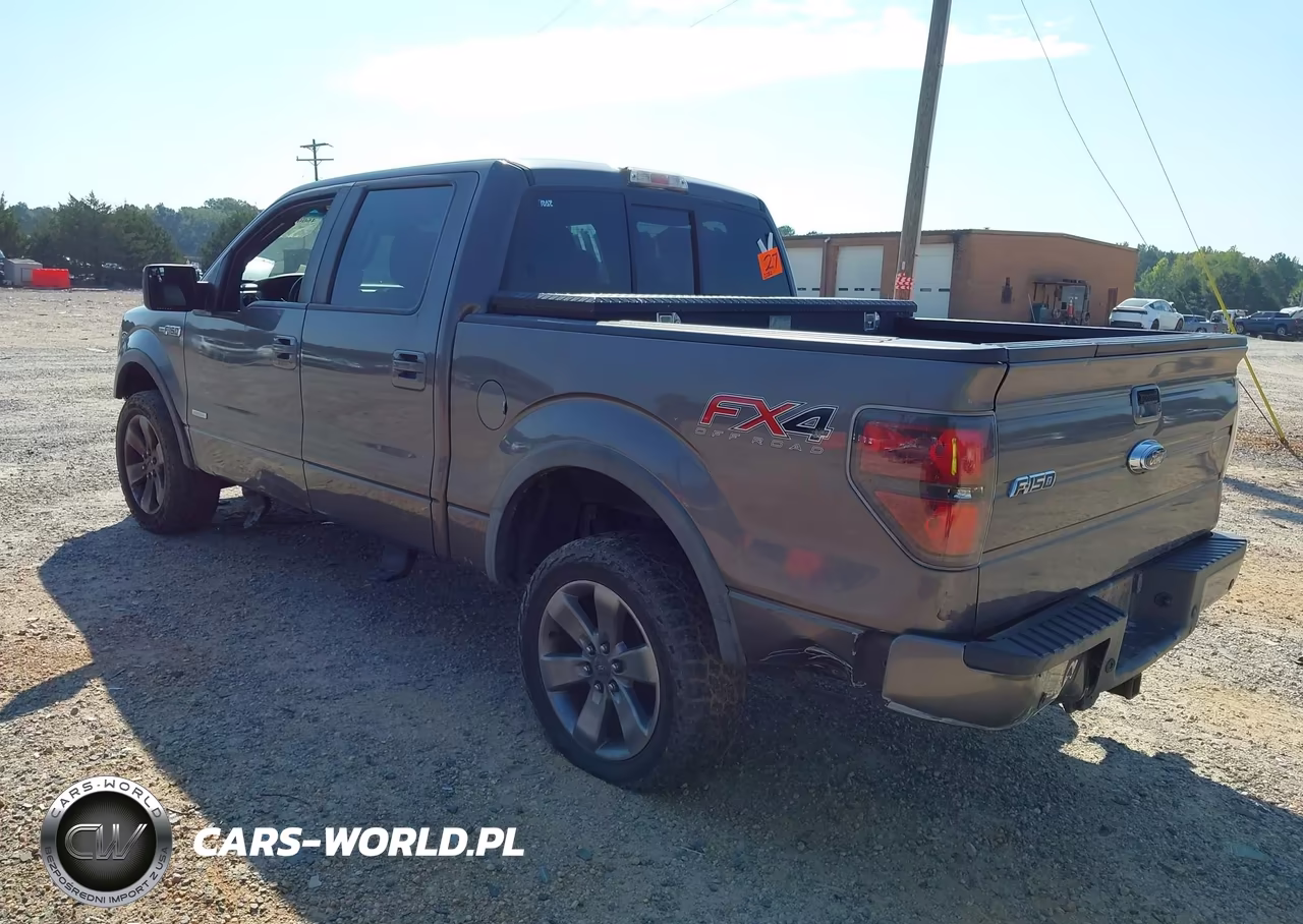 2013 Ford F-150 Fx4 VIN:1FTFW1ETXDKE54431 - 3