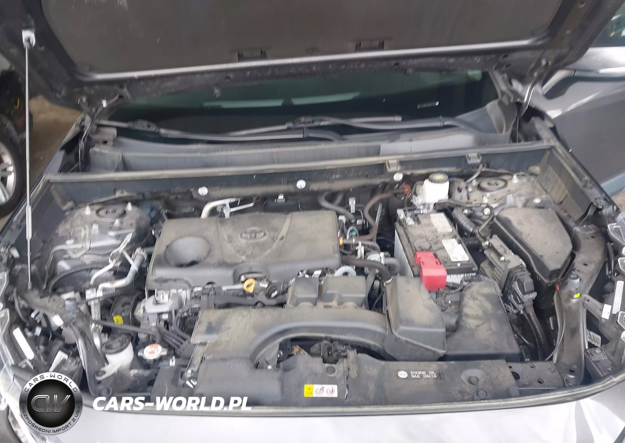 2024 Toyota Rav4 Xle VIN:2T3W1RFV7RW312758 - 10