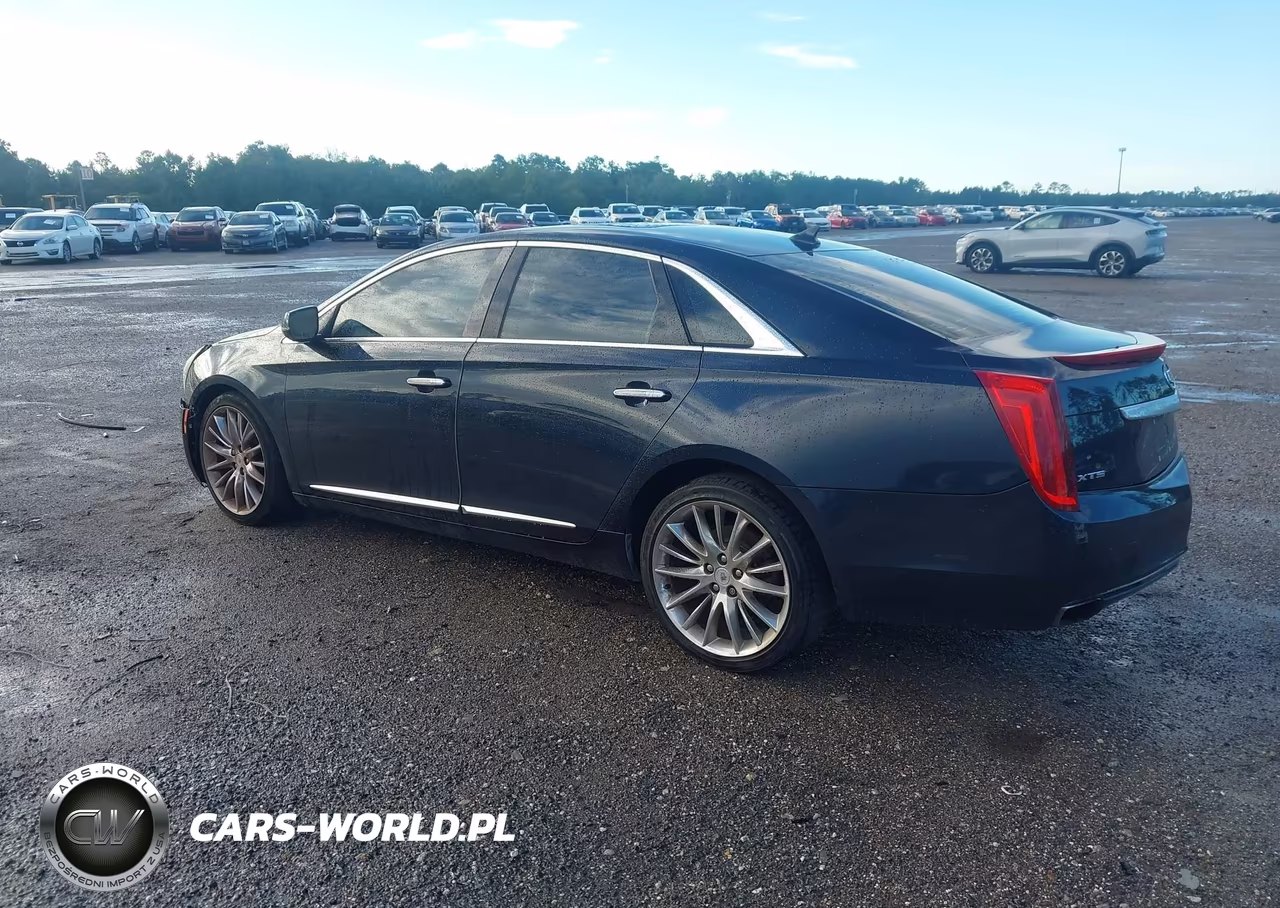 2013 Cadillac Xts Platinum VIN:2G61U5S35D9175999 - 3