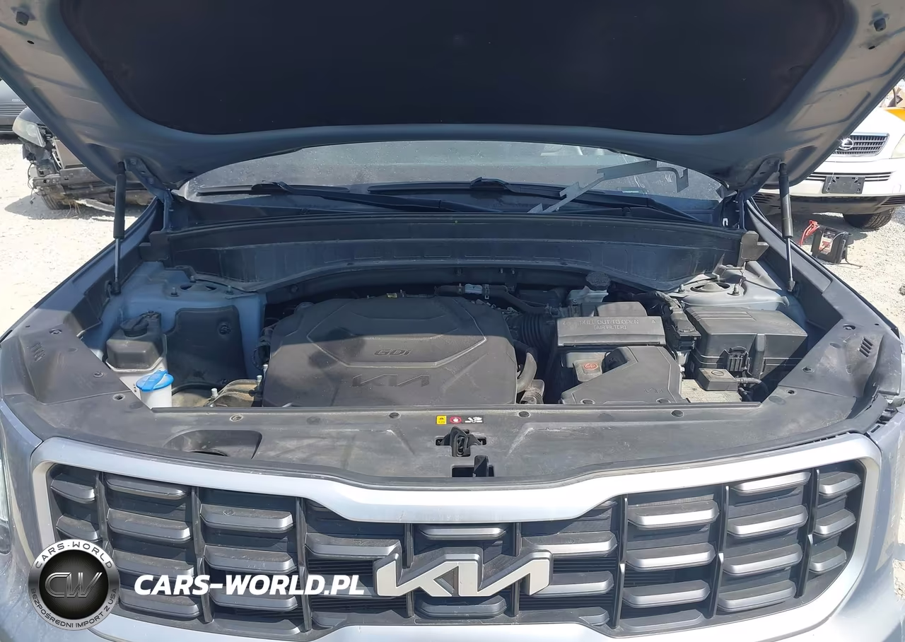 2023 Kia Telluride S VIN:5XYP6DGC6PG336910 - 10