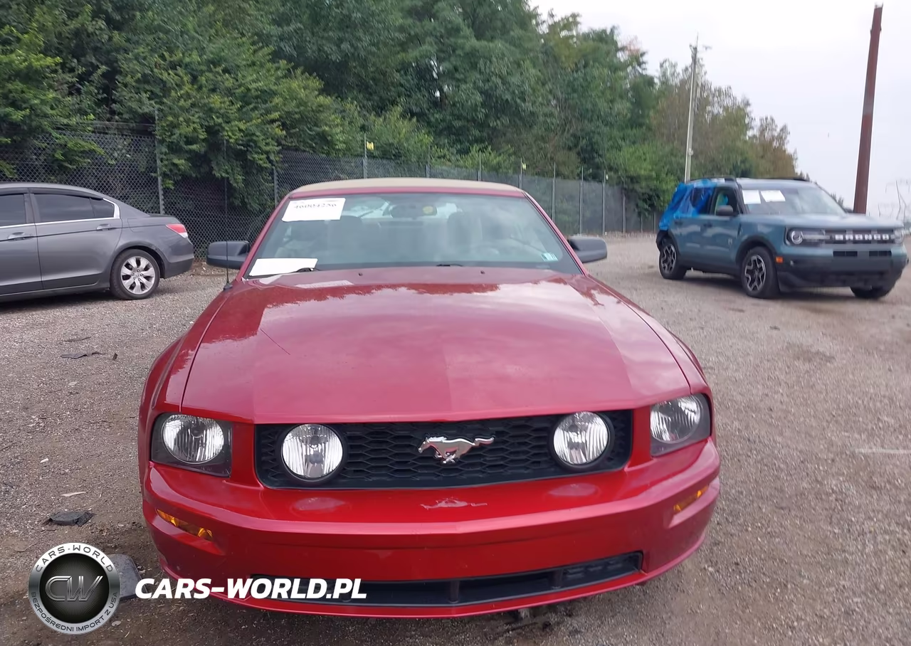 2006 Ford Mustang Gt VIN:1ZVHT85H765137467 - 13