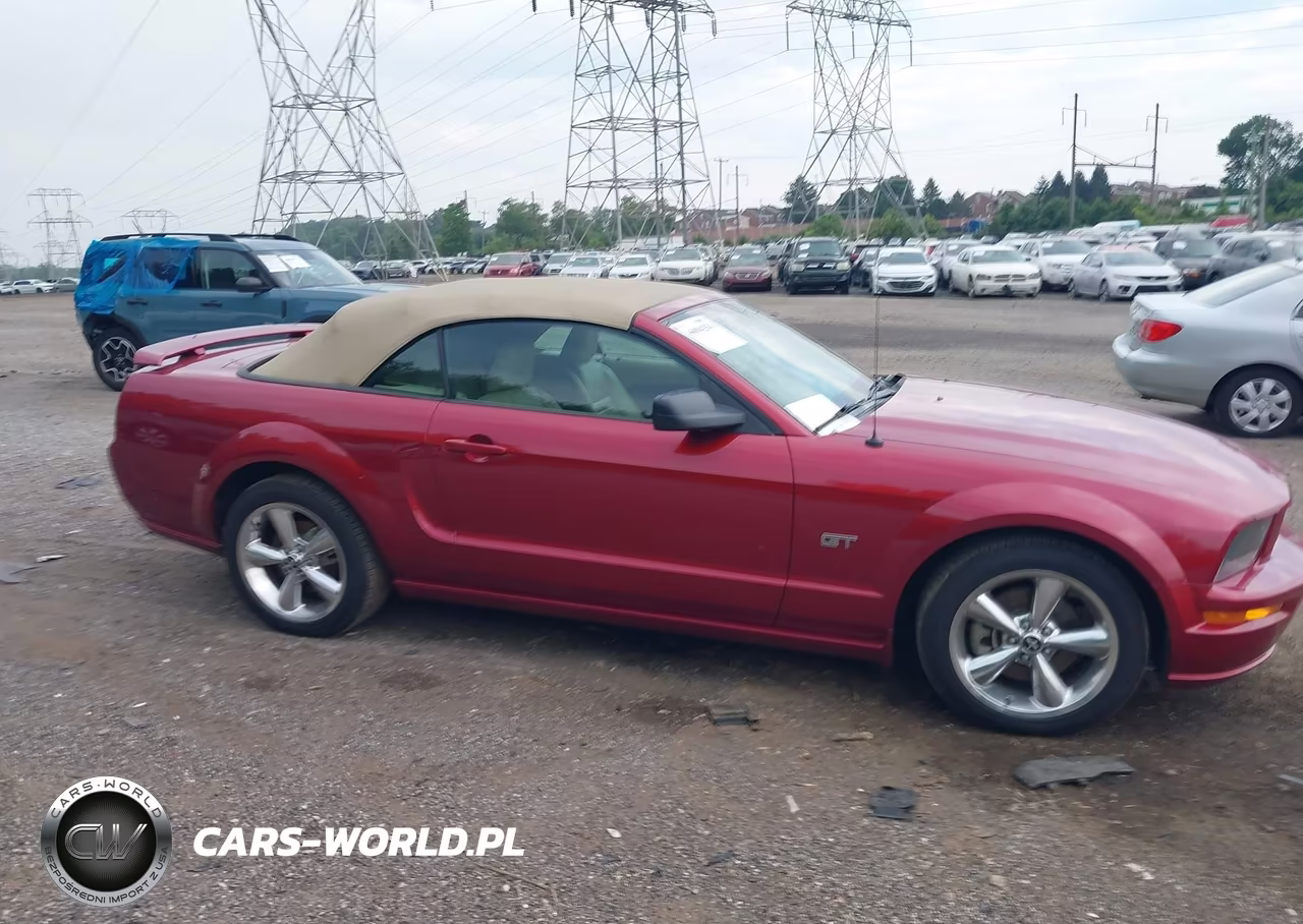 2006 Ford Mustang Gt VIN:1ZVHT85H765137467 - 14