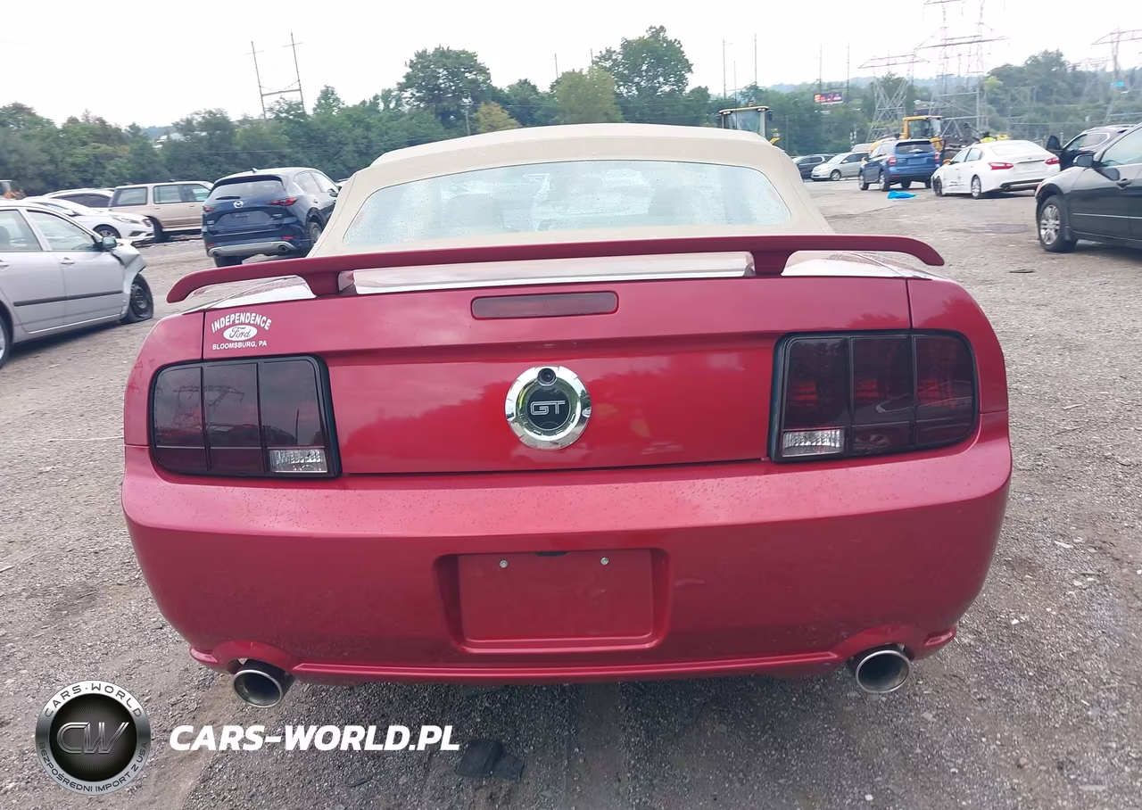 2006 Ford Mustang Gt VIN:1ZVHT85H765137467 - 17