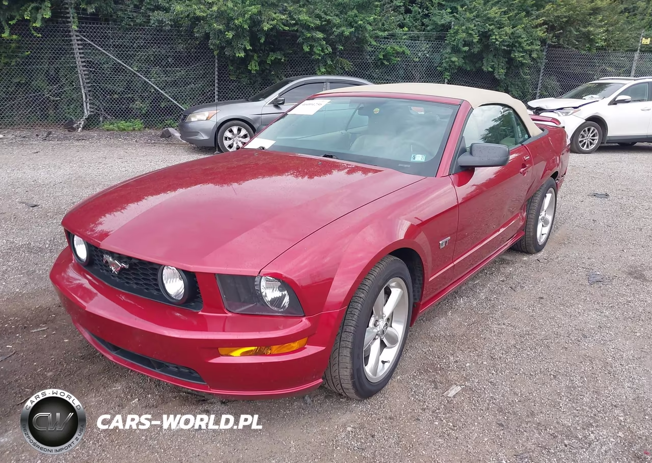 2006 Ford Mustang Gt VIN:1ZVHT85H765137467 - 2