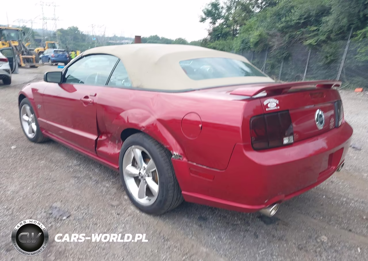2006 Ford Mustang Gt VIN:1ZVHT85H765137467 - 3